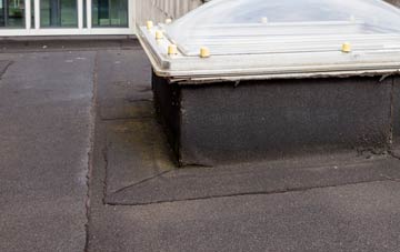 disadvantages of Derwenlas flat roofs