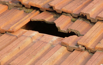 roof repair Derwenlas, Powys